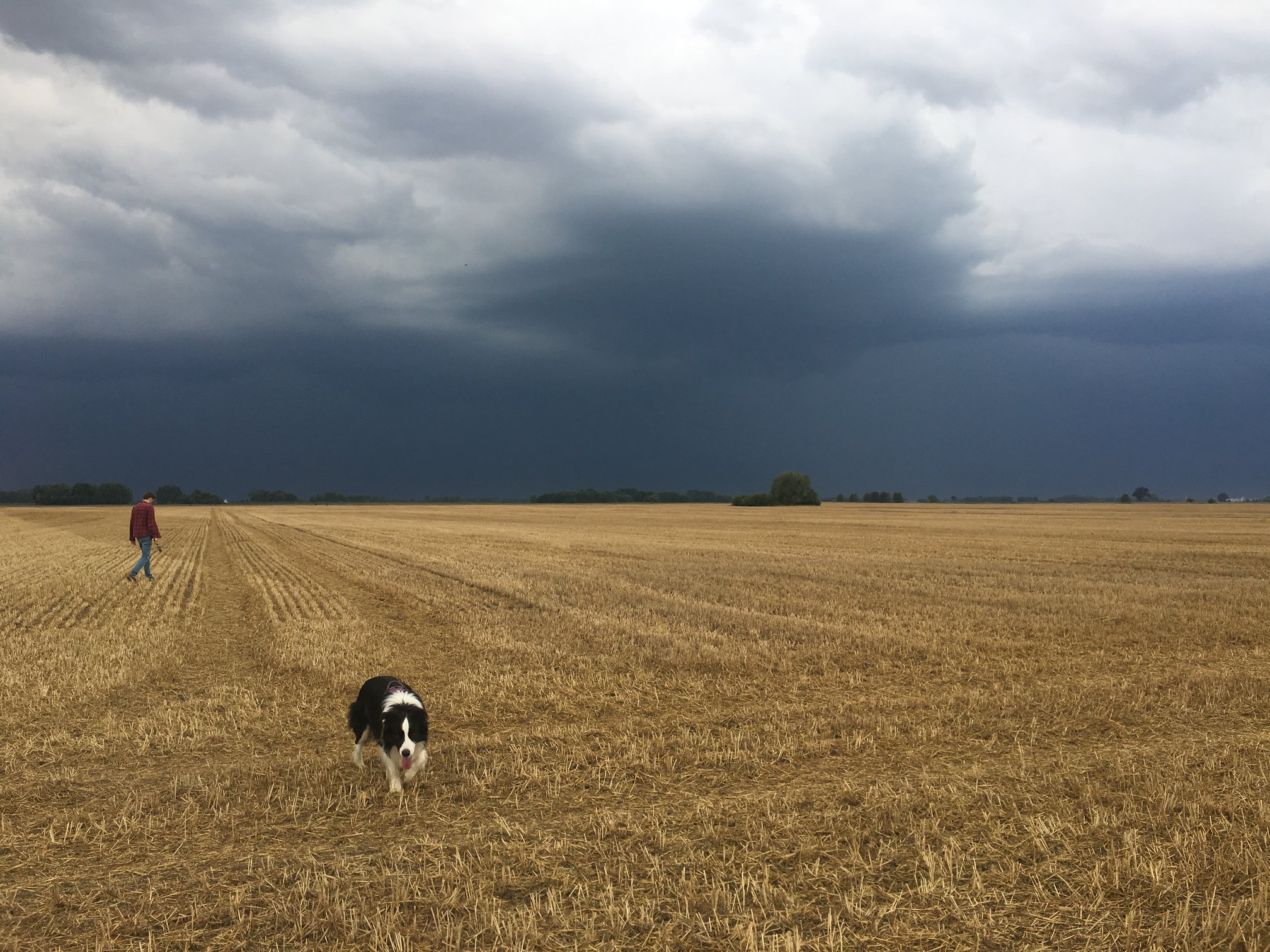 80837064_1325837700939319_2056033692505079808_n